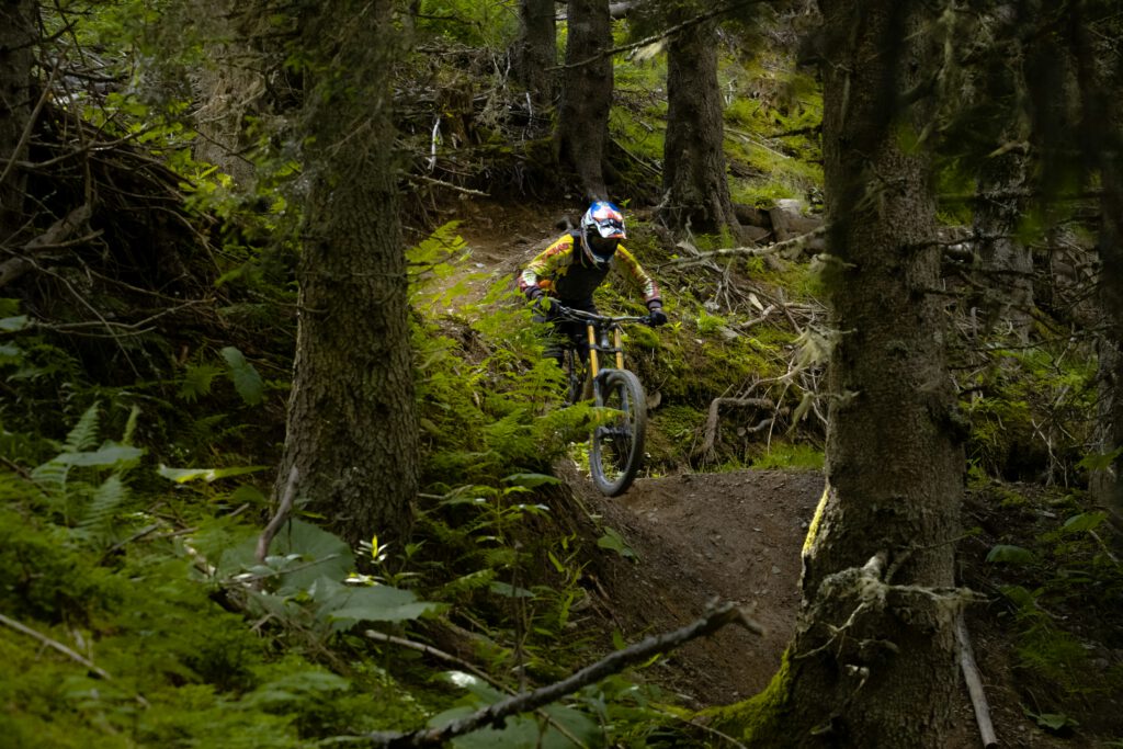 Rowerzysta górski na trasie Singletrack Glacensis w Polanicy-Zdroju – nocleg dla aktywnych.